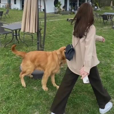 小绿和小蓝第五季