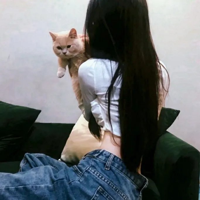 哈啰你好喵