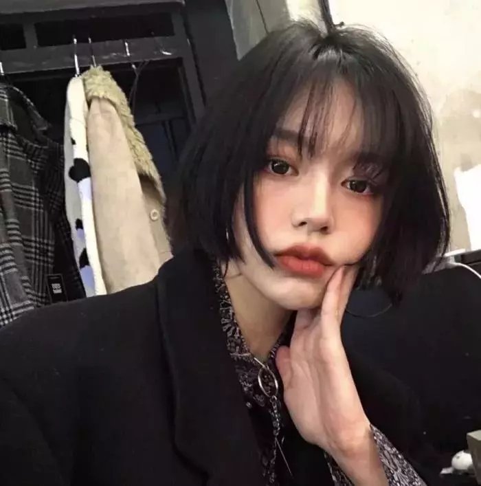 台北夜蒲团团转